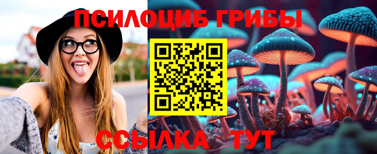 Галлюциногенные грибы Magic Shrooms Великий Устюг