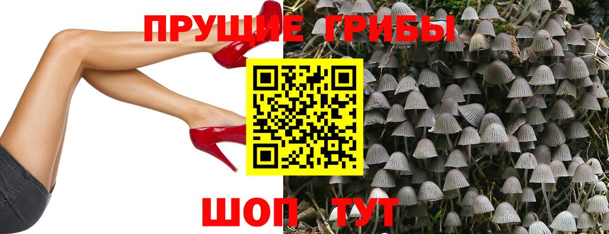 Псилоцибиновые грибы Cubensis  Псилоцибиновые грибы Magic Shrooms  Великий Устюг  Вход с VPN 